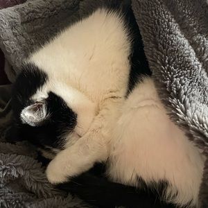 Meet your Posher, Rajvir